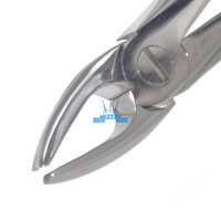 Forceps straight for removing upper incisors and canines (ST-001)