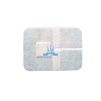 Patch for fixation of peripheral cannulas MEDICARE cellulose material, individual packaging, amount per pack (pcs) 50, single use rate, color - white. Patch for fixation of peripheral cannulas MEDICARE cellulose material, individual packaging, amount per pack (pcs) 50, single use rate, color - white., в интернет-магазине